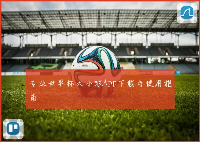 专业世界杯大小球App下载与使用指南