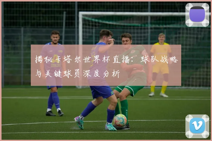 揭秘卡塔尔世界杯直播：球队战略与关键球员深度分析