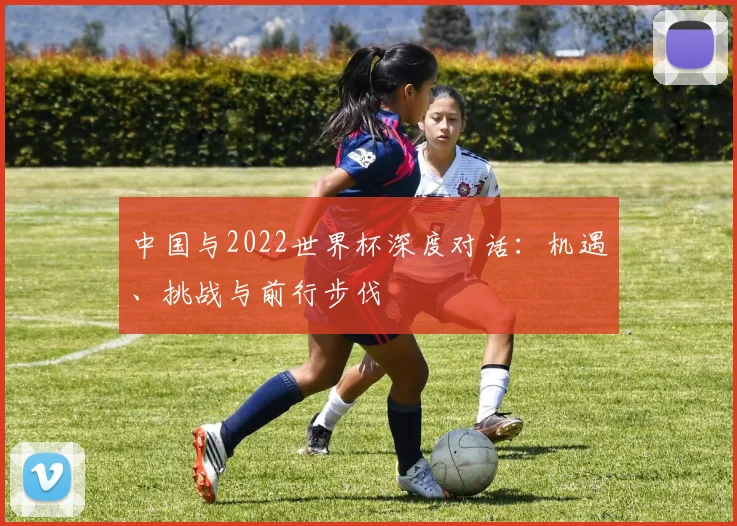中国与2022世界杯深度对话：机遇、挑战与前行步伐