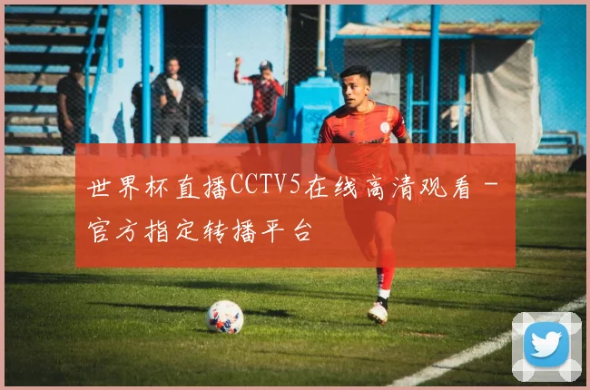 世界杯直播CCTV5在线高清观看 - 官方指定转播平台